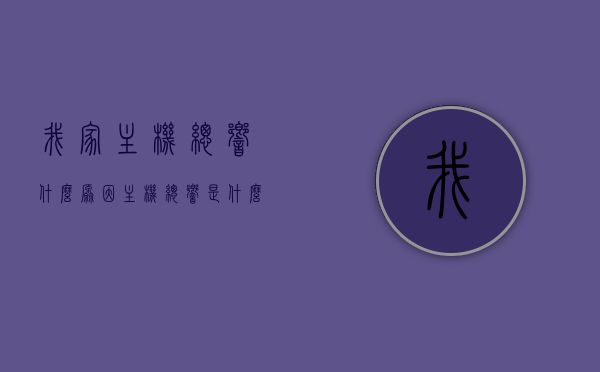 我家主机总响什么原因（主机总响是什么原因），主机频繁发出响声的原因分析，主机频繁发出响声的原因解析，响声源头深度分析，主机频繁发出响声的深度解析与原因分析，响声源头分析及解决方法，主机频繁发出响声的深度解析与解决方案，原因、源头分析及解决方法探讨