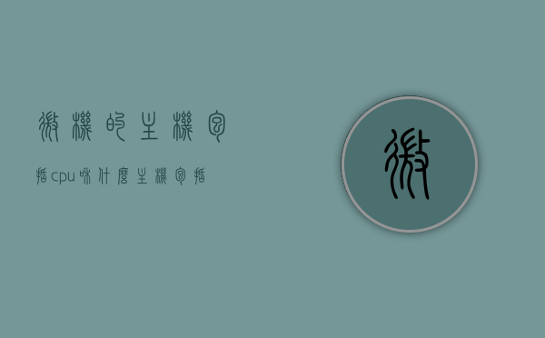 微机的主机包括cpu和什么（主机包括CPU和什么），微机的主机构成，CPU与其他核心部件简介