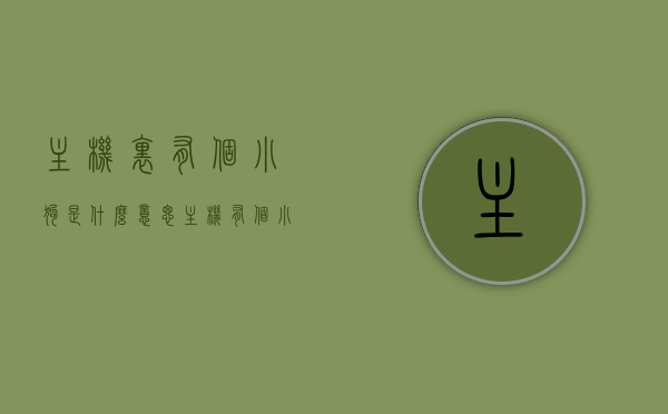 主机里有个小狗是什么意思（主机有个小按钮是什么），主机里隐藏的小狗秘密与小按钮的功能解析，揭秘主机中的隐藏秘密，神秘小狗与小按钮的功能解析，揭秘主机中的神秘秘密，小狗隐藏功能与神秘小按钮解析