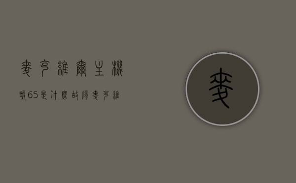 麦克维尔主机报65是什么故障（麦克维尔报e6），麦克维尔主机故障解析，报65（e6）故障的原因与解决方案