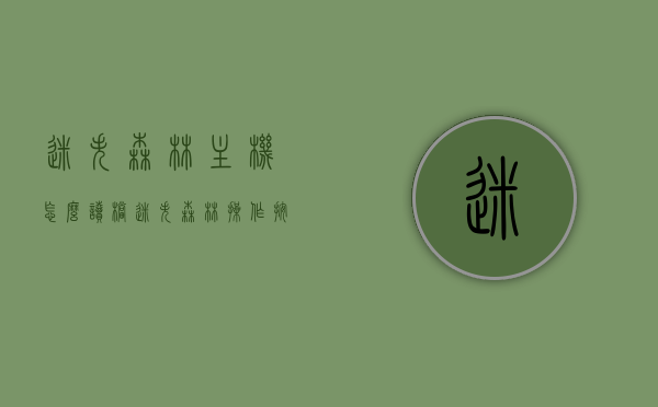 迷失森林主机怎么读档（迷失森林操作按键说明），迷失森林操作指南，主机读档与按键说明