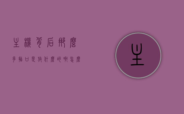 主机背后那么多插口是放什么的啊怎么插（主机背后那么多插口是放什么的啊怎么插线），主机背后插口的用途与插线方法指南，主机背后插口的用途详解与插线方法指南，主机背后插口的用途详解及插线方法指南，主机背后插口的用途详解与插线方法指南（图解教程），主机背后插口的用途详解与图解插线方法指南