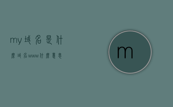 my域名是什么（域名www什么意思），关于域名解析及www含义的解析与探讨