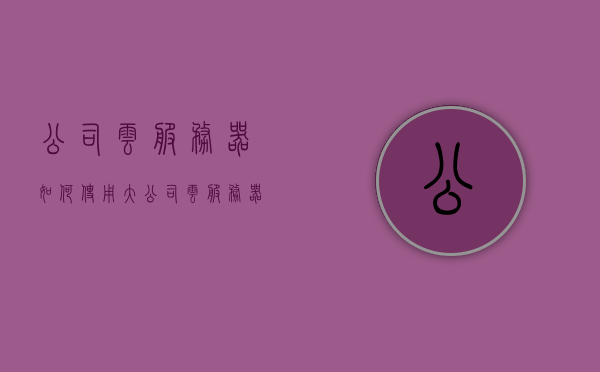 公司云服务器如何使用（大公司云服务器），大公司云服务器的使用指南，从入门到精通 第1张