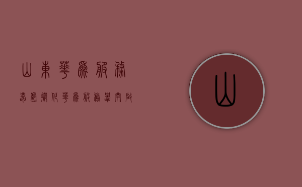 山东华为服务器虚拟化（华为服务器开启cpu虚拟化），华为山东服务器虚拟化技术揭秘，CPU虚拟化功能开启实践指南，华为山东服务器虚拟化技术揭秘，CPU虚拟化功能开启与实践指南 第1张