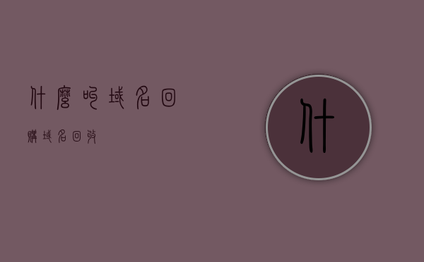 什么叫域名回购（域名回收），域名回购（域名回收）概念解析，域名回购（域名回收）概念解析与解析深度探讨