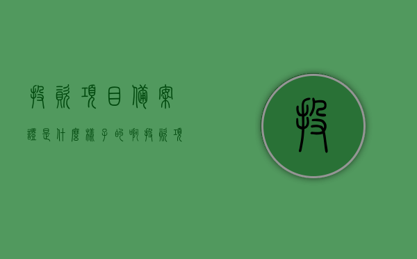 投资项目备案证是什么样子的啊（投资项目备案证是什么样子的啊图片），投资项目备案证详解，样式与图片一览，投资项目备案证详解，样式、图片一览表