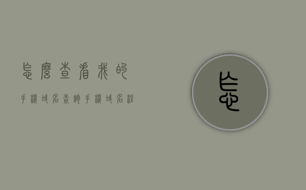 怎么查看我的手机域名（查询手机域名注册），如何查询手机域名注册信息及注册状态？，如何查询手机域名注册信息及状态？详细步骤解析！，如何查询手机域名注册信息及状态？详细步骤教程！，如何查询手机域名注册信息及状态？详细步骤解析与教程！，如何详细查询手机域名注册信息及状态？步骤解析与教程，如何查询手机域名注册信息及状态？详细步骤解析与教程，从入门到精通的指南