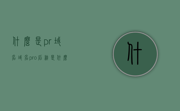 什么是pr域名（域名pro后缀是什么意思），关于域名后缀pro的解析，什么是pr域名？，关于域名后缀pro的解析，什么是pr域名及其含义