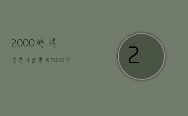 2000的域名是什么意思（2000的域名是什么意思啊），关于2000域名的含义解析