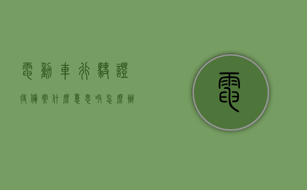 电动车行驶证待备案什么意思呀怎么办（电动车行驶证待备案什么意思呀怎么办理），电动车行驶证待备案详解，流程与操作指南，电动车行驶证待备案详解及办理流程操作指南，电动车行驶证待备案详解，办理流程与操作指南，从备案意义到具体步骤全解析，电动车行驶证待备案详解，流程、操作指南及办理全攻略，电动车行驶证待备案详解，从意义到操作，全流程办理攻略与操作指南