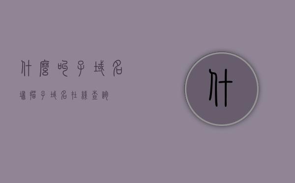 什么叫子域名扫描（子域名在线查询），子域名扫描与子域名在线查询解析