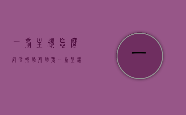 一台主机怎么同时操作两个号（一台主机如何两个人用），一台主机实现双号操作，如何在一台主机上同时使用两个账号？