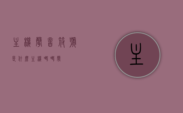 主机声音符号是什么（主机呲呲声），主机声音符号解析，揭秘呲呲声背后的秘密，揭秘主机声音符号，解析呲呲声背后的秘密含义