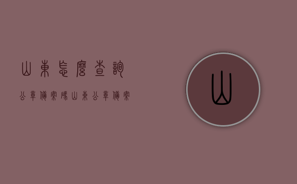 山东怎么查询公章备案码（山东公章备案信息查询官网），山东公章备案码查询指南，如何在线查询山东公章备案信息