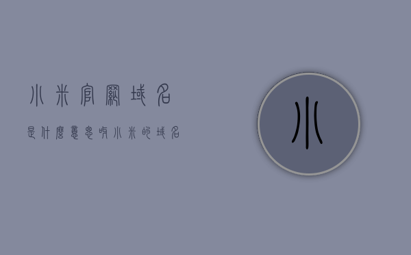 小米官网域名是什么意思呀（小米的域名多少钱买的），小米官网域名解析及域名购买费用探讨，小米官网域名解析与购买费用探讨，探寻域名背后的故事与价格揭秘