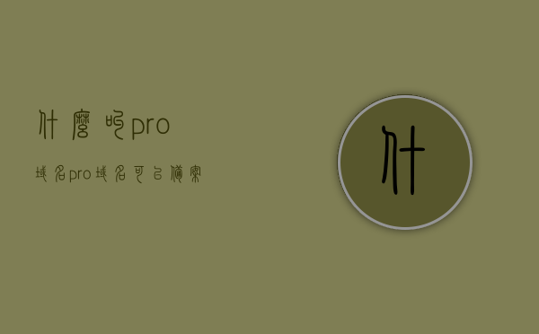 什么叫pro域名（pro域名可以备案吗），Pro域名的解析及备案问题探究 第1张