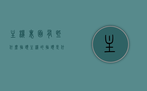 主机里面有些什么插头（主机的插头是什么样的），主机内部插头解析，探索主机内部的插头种类与形态，探索主机内部，插头种类与形态解析