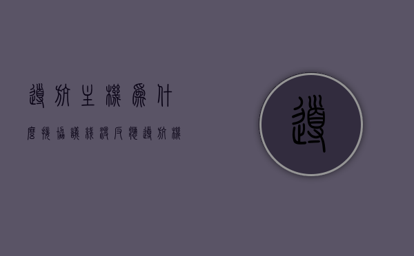 导航主机为什么接协议线没反应（导航机协议盒起什么作用），导航主机协议线无反应问题解析，协议盒功能及问题排查指南