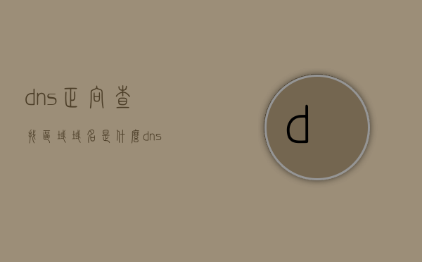 dns正向查找区域域名是什么（dns正向查找区域域名是什么意思啊），DNS正向查找区域域名解析详解，概念与功能解析