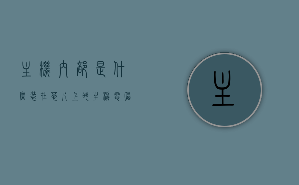 主机内部是什么装在芯片上的（主机电脑的芯片主要是?），揭秘主机电脑芯片，内部结构究竟如何装载？，揭秘主机电脑芯片，内部结构、装载与功能探究，揭秘主机电脑芯片，内部结构、装载方法与功能探究全解析，揭秘主机电脑芯片，内部结构、装载方法与功能全面解析 第1张