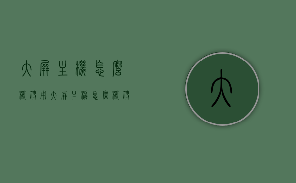 大屏主机怎么样使用（大屏主机怎么样使用教程），大屏主机使用教程，全面指导你如何操作大屏主机，大屏主机使用教程，全面指导操作与体验优化！