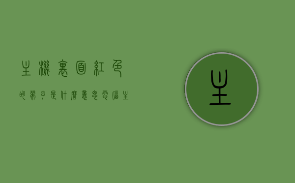 主机里面红色的带子是什么意思（电脑主机有个红线咋插的），电脑主机内红色带子的含义及正确插线方法，电脑主机内红色带子的含义与正确插线方法指南