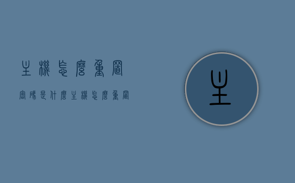 主机怎么重置密码是什么（主机怎么重置密码是什么意思啊），主机密码重置详解，步骤与意义全解析