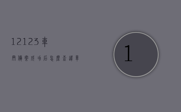 12123车辆备案成功后怎么查违章（12123备案成功了怎么查违章），如何在12123车辆备案成功后查询违章记录？，12123车辆备案成功后查询违章记录的步骤指南，12123车辆备案成功后查询违章记录的步骤详解，12123车辆备案成功后查询违章记录的详细步骤指南，12123车辆备案成功后查询违章记录的详细步骤指南，12123车辆备案成功后查询违章记录的详细步骤指南