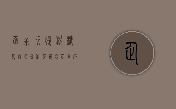 企业所得税清算备案是什么意思（企业所得税汇缴清算什么意思），企业所得税清算备案与汇缴清算详解，概念、流程与意义，企业所得税清算备案与汇缴清算详解，概念、流程与意义探讨