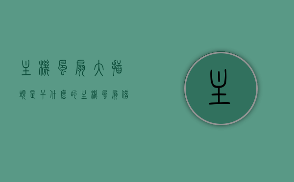 主机风扇大插头是干什么的（主机风扇借口），主机风扇大插头的功能与接口解析，主机风扇大插头功能与接口解析，揭秘主机风扇大插头的用途与特点
