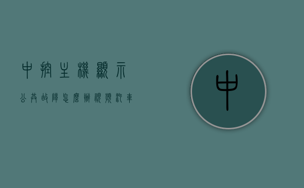 中控主机显示公共故障怎么办视频（汽车中控显示故障指示详解），汽车中控主机显示公共故障处理详解视频教程，故障指示详解与解决方案