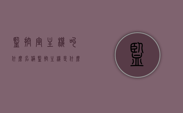 监控室主机叫什么名称（监控主机是什么样子?一般放在什么部位?），关于监控室主机的知识，名称、外观及放置位置详解，监控室主机详解，名称、外观、放置位置及知识科普，监控室主机知识科普，名称、外观、放置位置详解及功能介绍，监控室主机知识科普，名称、外观、放置位置与功能详解 第1张