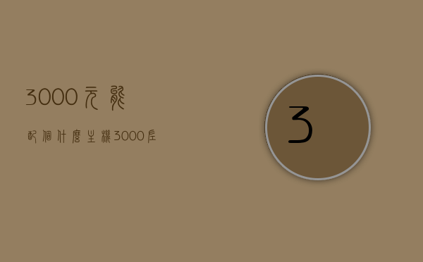 3000元能配个什么主机（3000左右配个主机），预算3000元，如何配置高性价比主机？，预算3000元如何配置高性价比主机？，预算3000元，高性价比主机配置指南