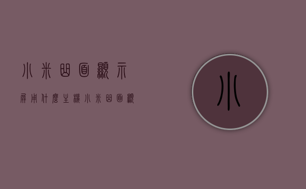 小米曲面显示屏用什么主机（小米曲面显示器是ips吗），小米曲面显示屏主机选择与显示器技术解析，小米曲面显示屏主机选择与显示器技术解析，IPS技术及其主机搭配探讨