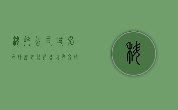 科技公司域名叫什么好（科技公司英文域名），科技公司域名命名建议，精选英文域名命名科技公司的最佳选择，科技公司域名命名攻略，精选英文域名建议与最佳命名选择