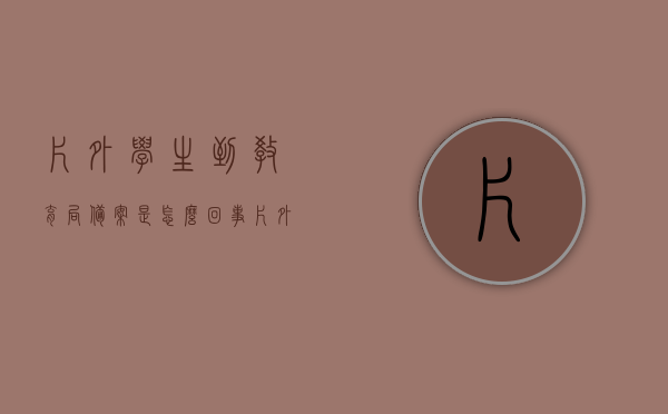 片外学生到教育局备案是怎么回事（片外生如何上市内小学），片外学生如何到教育局备案，上市内小学的流程解析，片外学生到教育局备案及上市内小学流程解析，如何备案与入学指南，片外学生到教育局备案及上市内小学流程解析与入学指南