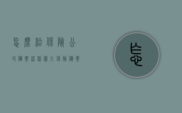 怎么给保险公司备案流程图片（保险备案需要什么手续），保险公司备案流程详解，所需手续及图片指南，保险公司备案流程详解，手续与图片指南全解析，保险公司备案流程详解，手续与图片指南大全解析，保险公司备案流程详解及手续图片指南全解析，保险公司备案流程详解，手续与图片指南全解析