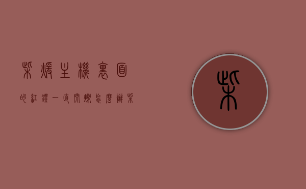 柴暖主机里面的红灯一直闪烁怎么办（柴暖主机里面的红灯一直闪烁怎么办视频），柴暖主机红灯闪烁故障解析及解决方案（含视频指导）