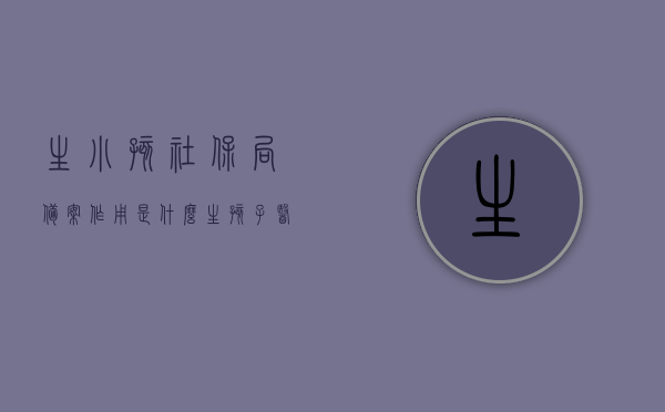 生小孩社保局备案作用是什么（生孩子医保局备案需要什么材料），生娃前必看，社保局备案的作用及所需材料一览，社保局备案生育孩子的作用及所需材料全解析，生娃前必看指南，生娃前必看，社保局备案生育孩子的作用及所需材料全解析与指南，生娃前必看，社保局备案生育孩子的作用、所需材料及全解析指南，生娃前必看，社保局备案生育孩子的作用及所需材料全解析与指南，社保局备案生育孩子全解析，备案作用及所需材料指南（生娃前必看）