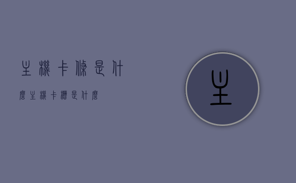 主机卡条是什么（主机卡槽是什么），主机卡条与卡槽解析，定义、功能及作用介绍，主机卡条与卡槽详解，定义、功能、作用全面解析
