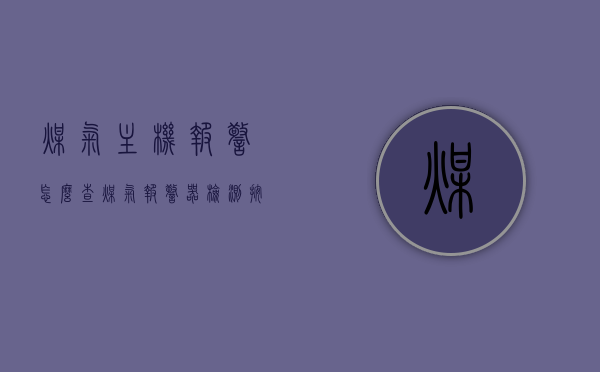 煤气主机报警怎么查（煤气报警器检测按钮），煤气主机报警检测与排查方法（含报警器检测按钮操作指南）