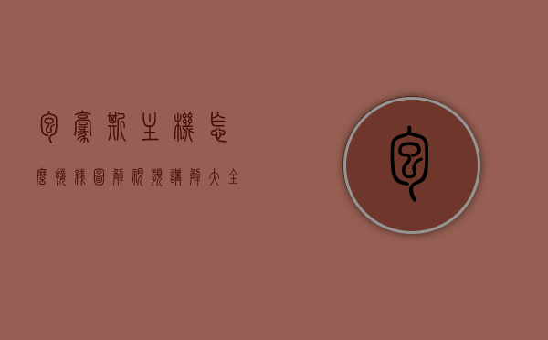 包豪斯主机怎么接线图解视频讲解大全下载（包豪斯机箱说明书），包豪斯主机接线图解大全，视频讲解与下载指南（含机箱说明书），包豪斯主机接线图解及视频讲解下载指南，机箱说明书全解析与下载链接汇总，包豪斯主机接线图解及视频讲解下载指南，含机箱说明书全解析与下载链接汇总，包豪斯主机接线图解及视频讲解下载指南，含机箱说明书全解析与下载链接汇总解析