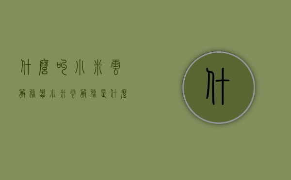 什么叫小米云服务器（小米云服务是什么意思?），小米云服务器解析，了解小米云服务的含义与功能