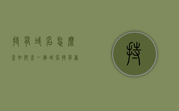 持有域名怎么查（如何查一个域名持有者的信息），如何查询域名持有者信息？域名持有者查询攻略，域名持有者信息查询攻略，如何查一个域名持有者的信息？，如何查询域名持有者信息？域名持有者信息查询攻略