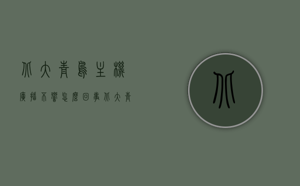 北大青鸟主机广播不响怎么回事（北大青鸟主机广播不响怎么回事呀），北大青鸟主机广播无声，原因解析与解决方案，北大青鸟主机广播无声故障解析，原因与解决方案探讨，北大青鸟主机广播无声故障解析，原因、解决方案与探讨