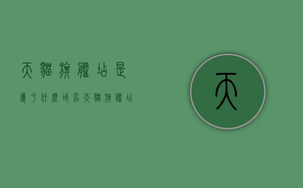 天猫旗舰店是属于什么域名（天猫旗舰店是属于什么域名类型），天猫旗舰店的域名类型解析，天猫旗舰店的域名类型解析，所属域名及域名类型探讨，天猫旗舰店的域名类型解析，所属域名类型深度探讨，天猫旗舰店的域名类型深度解析与所属域名探讨