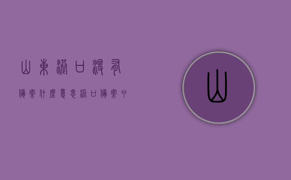 山东港口没有备案什么意思（港口备案申请表），山东港口备案问题解析，港口备案申请表的重要性及未备案的影响，山东港口备案详解，未备案的后果与备案申请表的重要性解析，山东港口备案详解，申请表的重要性、未备案后果及问题解析，山东港口备案详解，申请表的重要性、未备案后果及问题全面解析，山东港口备案申请表的全面解析，重要性、未备案后果与问题解析