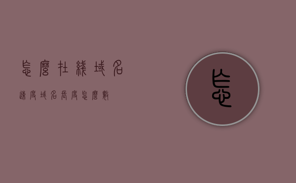 怎么在线域名速度（域名长度怎么数），在线域名速度解析及域名长度计算方法，在线域名速度解析，域名长度计算与速度解析方法指南，在线域名速度与长度解析指南，计算方法和速度解析全攻略！ 第1张
