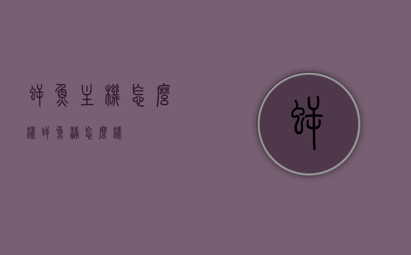 鳄鱼主机怎么样（鳄鱼漆怎么样），鳄鱼主机与鳄鱼漆的全方位解析，品质、性能及用户体验探讨